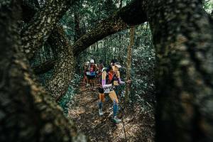 BIB: 
                            <button type="button" onclick="openModal(25392167)" class="btn btn-primary btn-sm float-right btn-popup" data-toggle="modal" data-target=".modal-high-quality">
                        <i class="fas fa-shopping-cart"></i> Add to Cart
                    </button>
                                            <button type="button" onclick="isThisMe(25392167, true)" class="btn btn-success btn-sm float-right btn-popup btn-isme hidden" data-toggle="tooltip" data-placement="bottom" title="นี่คือรูปของคุณใช่ไหม คลิกที่นี่เพื่อเอาเข้าอัลบั้ม">
                        <i class="fas fa-plus"></i> Add to album
                    </button>
                    <button type="button" onclick="isThisMe(25392167, false)" class="btn btn-warning btn-sm float-right btn-popup btn-isnotme hidden">
                        <i class="fas fa-ban"></i> Remove from album
                    </button>